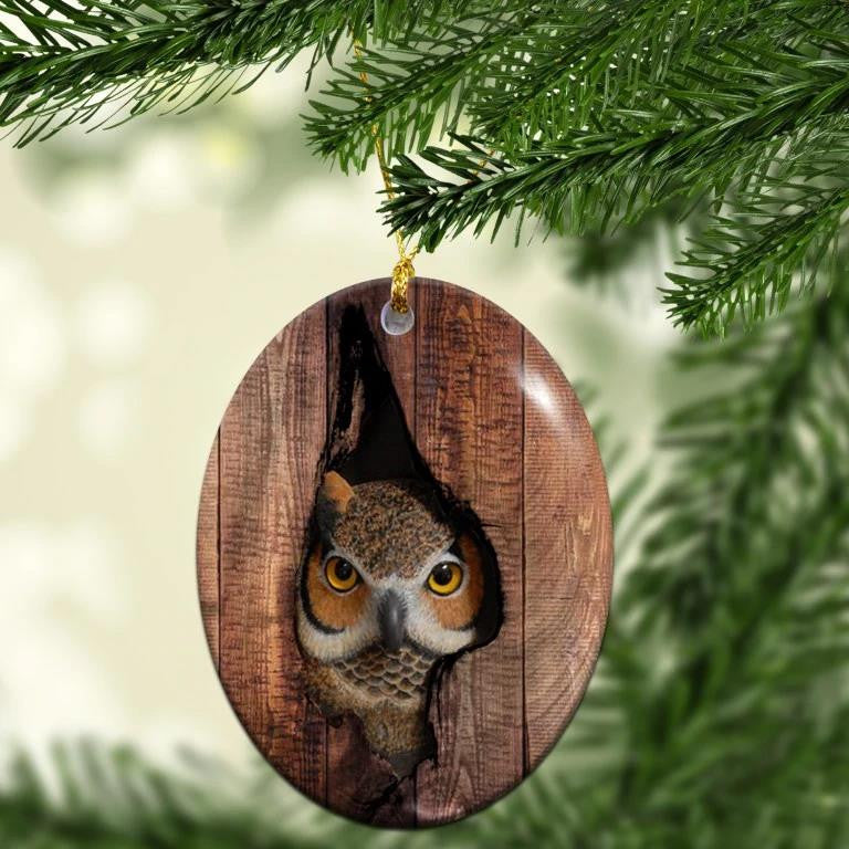 Owl In Nest Oval Pattern - Owl Ornament (Printed On Both Sides) 1122