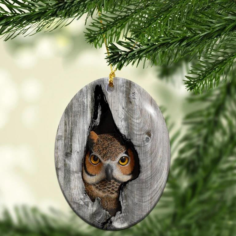 Owl In Grey Nest Oval Pattern - Owl Ornament (Printed On Both Sides) 1122